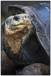 SAmerica\SA-Galapagos